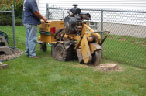 positioning the stump grinder
